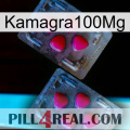 Kamagra100Mg 14